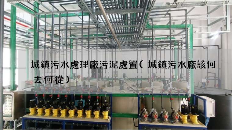城鎮污水處理廠污泥處置(城鎮污水廠該何去何從)